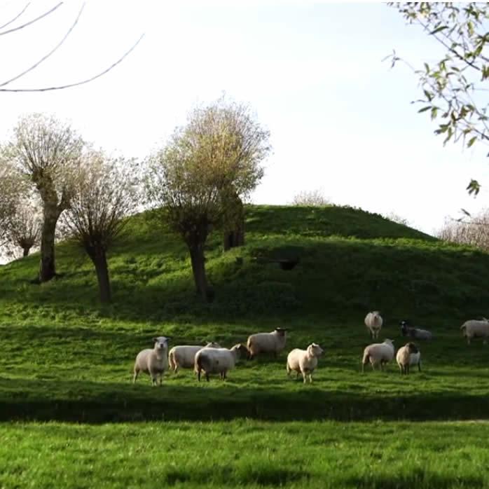 Vliedberg