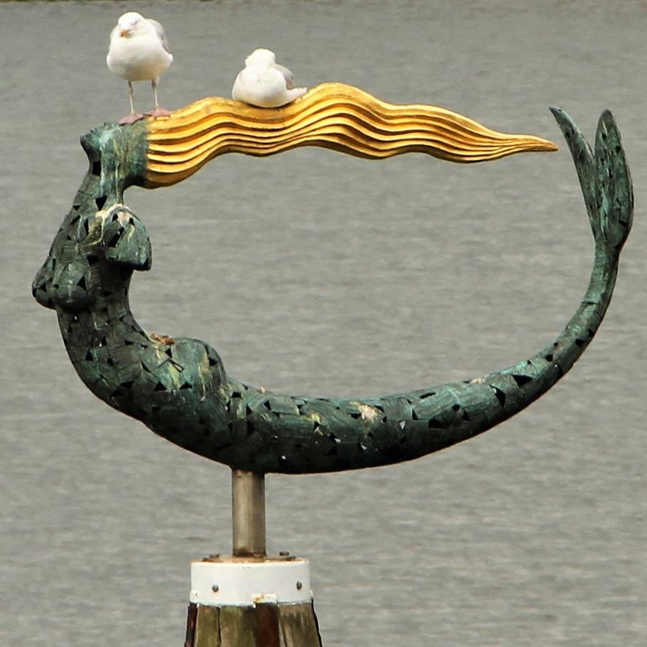 Zeemeermin in de haven